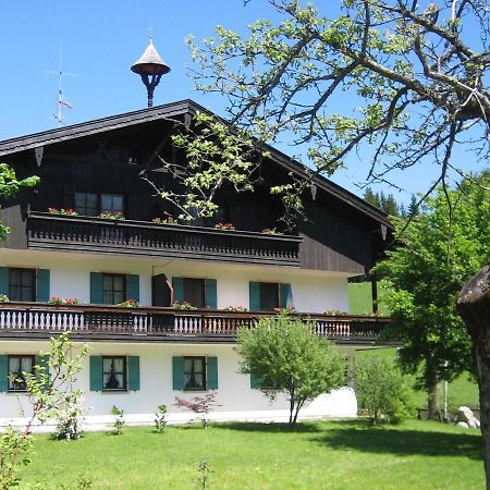 شقة اسخو ام شيمغاو  في Ciao-Aschau Gschwendtnerhof Ap20 Bunk المظهر الخارجي الصورة
